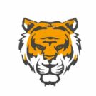 Tiger Book